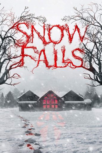 Poster for Snow Falls