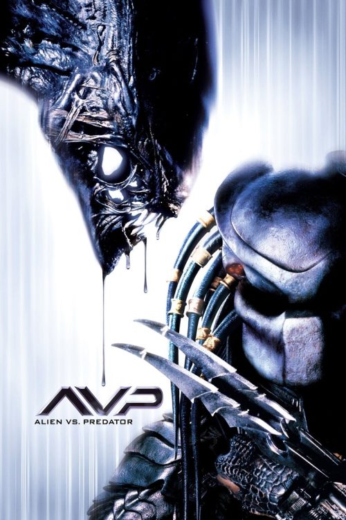 Poster for AVP: Alien vs. Predator