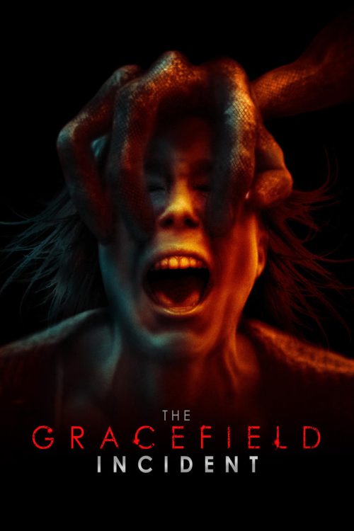 Poster for The Gracefield Incident