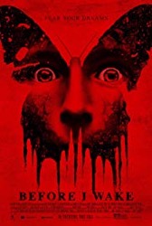 Before I Wake